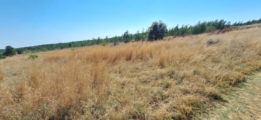 3 Bedroom Property for Sale in Groot Marico North West